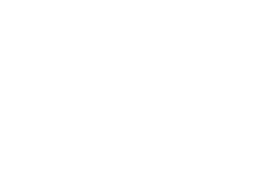 Luxury Explorers